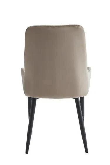 Dining Chair - C-1511-1512
